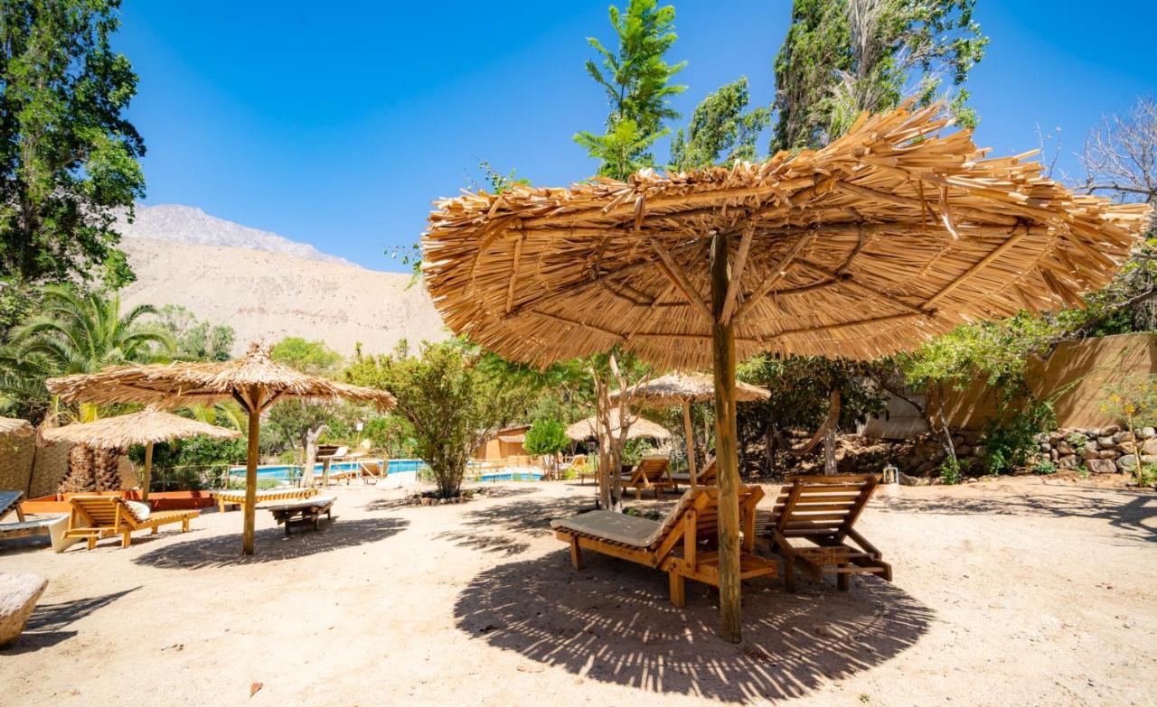 Hotel El Tesoro de Elqui Pisco Elqui Exterior foto